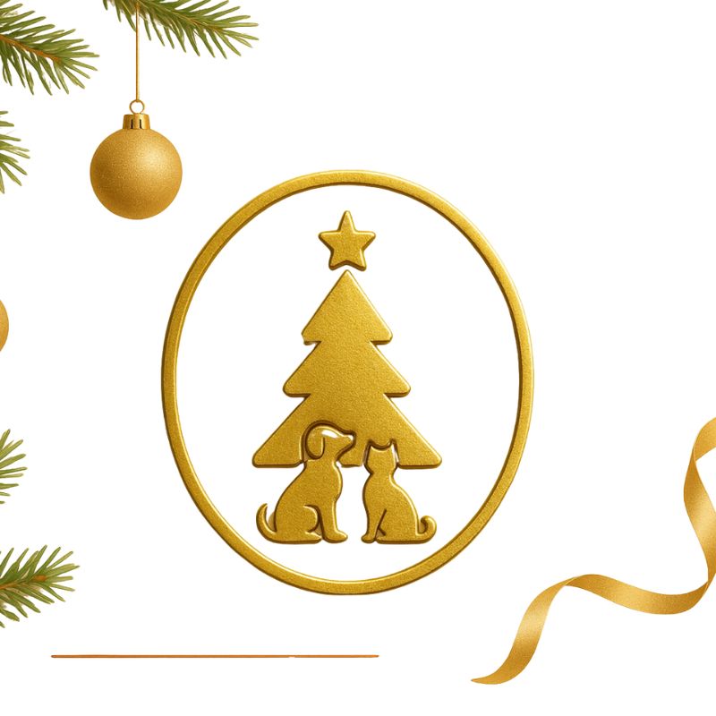 MYDOGGIE ----------¡¡¡Happy Christmas¡¡