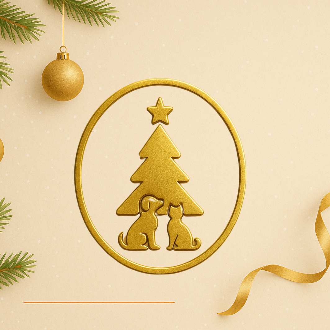 MYDOGGIE ----------¡¡¡Happy Christmas¡¡