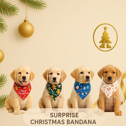 Christmas Mystery Bandana for Dogs — Surprise Holiday Print (Choose Color Family: Red, Green, White or Blue)