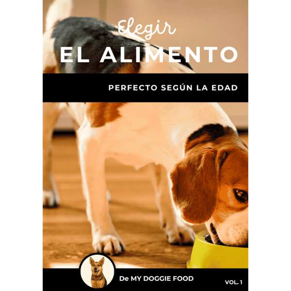 Elegir el Alimento Perfecto Según la Edad de tu Mascota – Guía Rápida MYDOGGIE