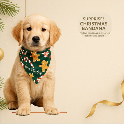 Christmas Mystery Bandana for Dogs — Surprise Holiday Print (Choose Color Family: Red, Green, White or Blue)