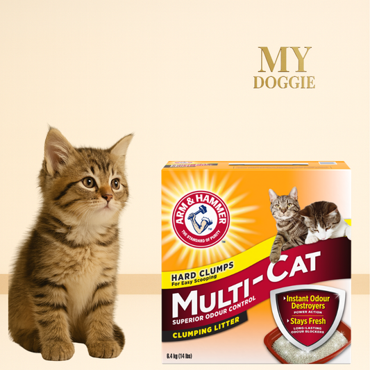 2-Pack Multi-Cat Clumping Litter 40 lb – Superior Odor Control, Clean Burst Scent