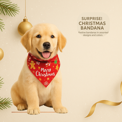 Christmas Mystery Bandana for Dogs — Surprise Holiday Print (Choose Color Family: Red, Green, White or Blue)