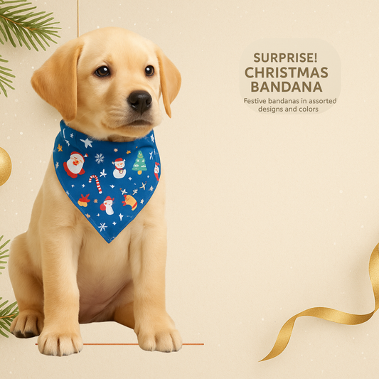 Christmas Mystery Bandana for Dogs — Surprise Holiday Print (Choose Color Family: Red, Green, White or Blue)