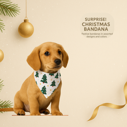 Christmas Mystery Bandana for Dogs — Surprise Holiday Print (Choose Color Family: Red, Green, White or Blue)