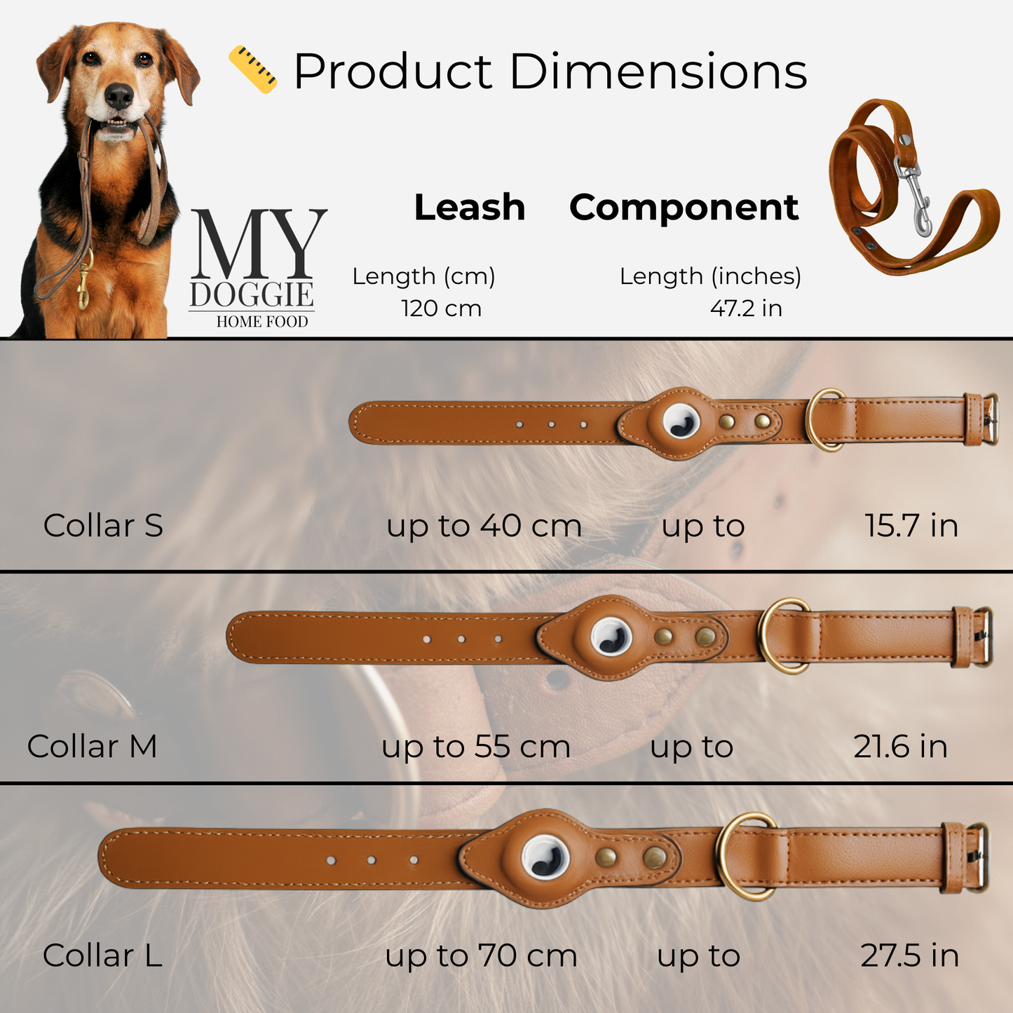 MYDOGGIEFOOD Couture Leather Collar & Leash Gift Set | Luxury AirTag-Ready Design | Handcrafted Finish | Printed & Packaged in Costa Rica– Perfect for Small, Medium & Large Dogs