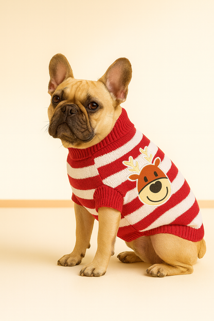 Holiday Reindeer Striped Knit Dog Sweater – Red & White Candy-Cane Stripes