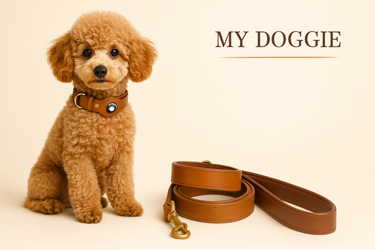 My Doggie Premium Leather Dog Collar with AirTag Pocket & Safety Clasp — 100% Genuine Leather, Heavy-Duty Buckles, Secure Matching Leather Leash