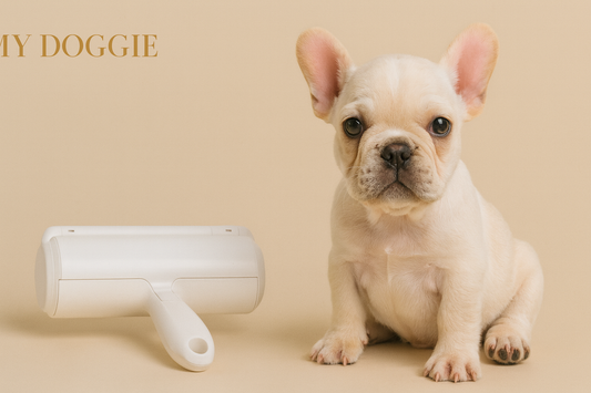 Cat & Dog Hair Roller — Reusable, Furniture/Car/Clothes Cleaner