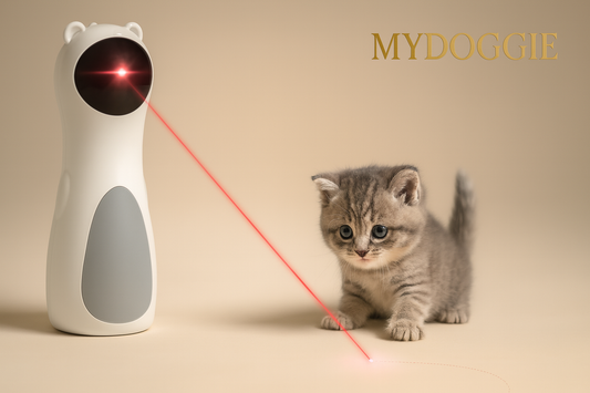 Interactive Automatic Laser Toy for Cats & Kittens (USB/Battery)