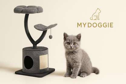 Cat Tree for Large and Small Cats with Curved Metal Supporting Frame