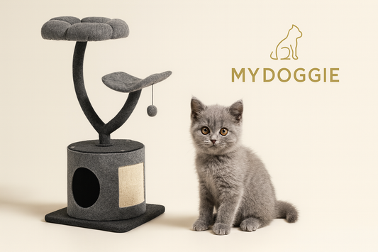 Cat Tree for Large and Small Cats with Curved Metal Supporting Frame
