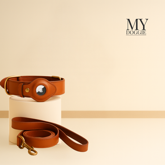 MYDOGGIEFOOD Couture Leather Collar & Leash Gift Set | Luxury AirTag-Ready Design | Handcrafted Finish | Printed & Packaged in Costa Rica– Perfect for Small, Medium & Large Dogs