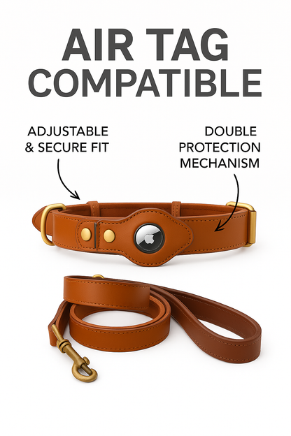 MYDOGGIEFOOD Couture Leather Collar & Leash Gift Set | Luxury AirTag-Ready Design | Handcrafted Finish | Printed & Packaged in Costa Rica– Perfect for Small, Medium & Large Dogs